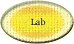 Button linking to Lab for Web Design 2 class